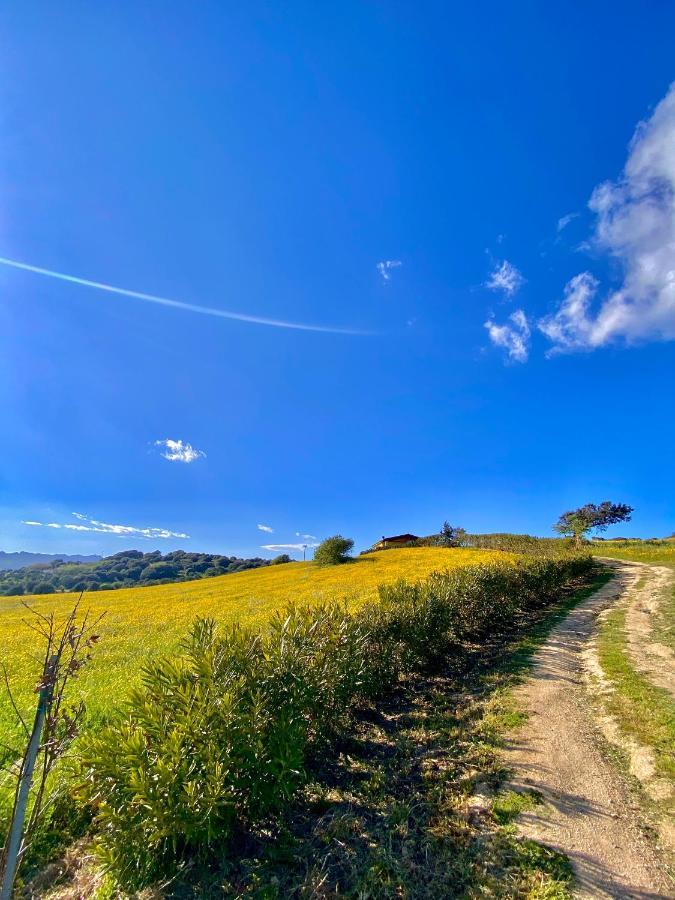 San Leonardo Country House Calangianus Buitenkant foto