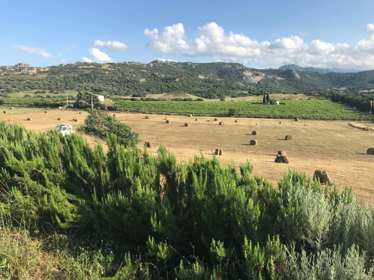 San Leonardo Country House Calangianus Buitenkant foto