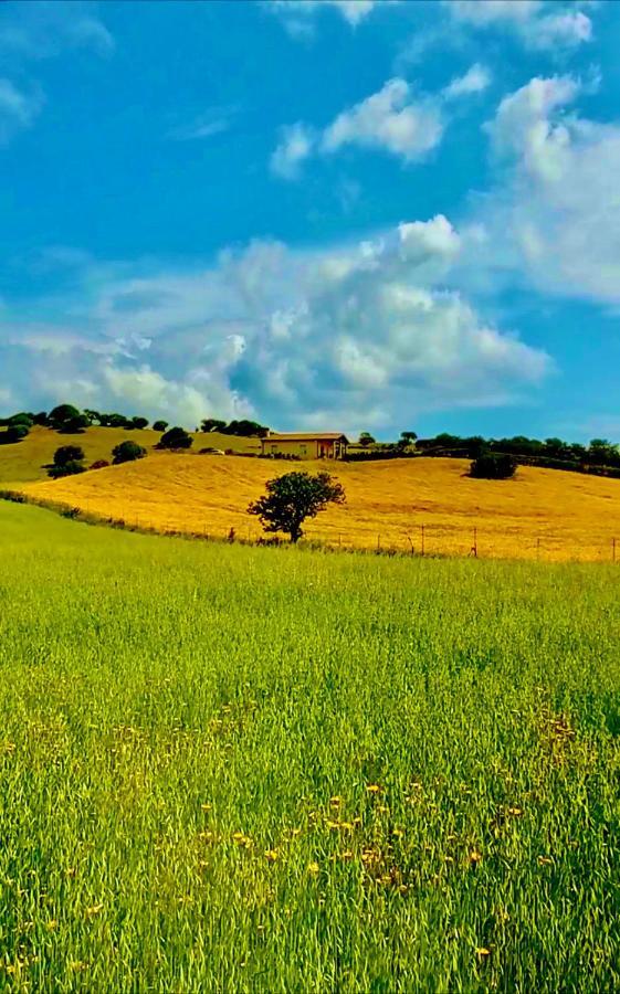 San Leonardo Country House Calangianus Buitenkant foto
